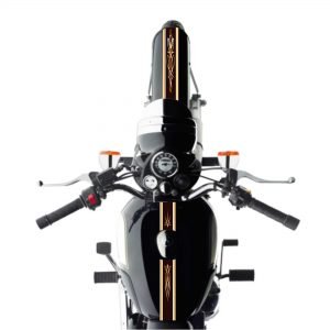 Classic Edition Stripes Pinstripes Brown Kit for Royal Enfield